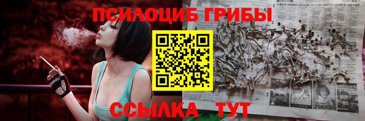 Псилоцибиновые грибы Cubensis  Вход с VPN  купить наркоту  Галлюциногенные грибы MAGIC MUSHROOMS  Брянск 